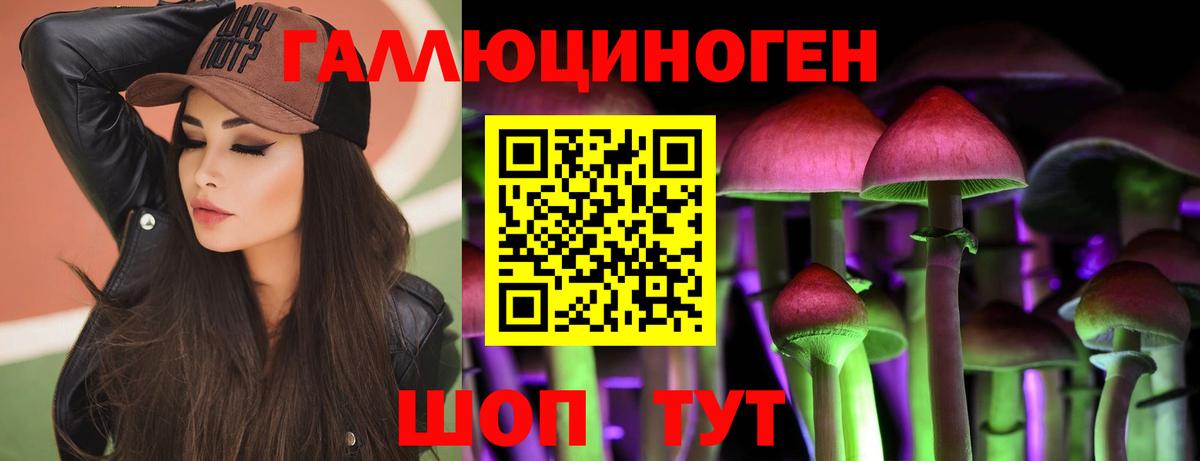 Скопин  Галлюциногенные грибы Cubensis  Вход с VPN 